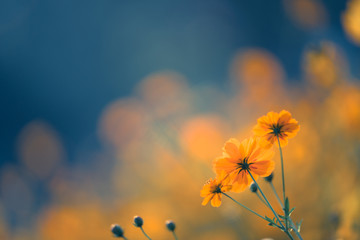 原神10大不值得培养角色