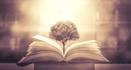 思念、想念、怀念、惦念如何区别？