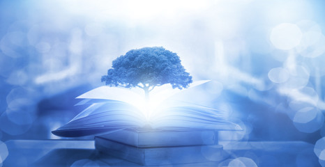 模特T台步骤及T台训练技巧