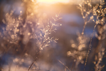 买十八层楼房到底好不好不适合住18层的属相有哪些
