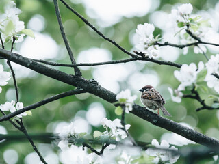 渭南市高中排名前十的学校