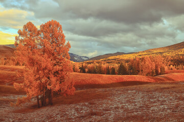 模特T台步骤及T台训练技巧