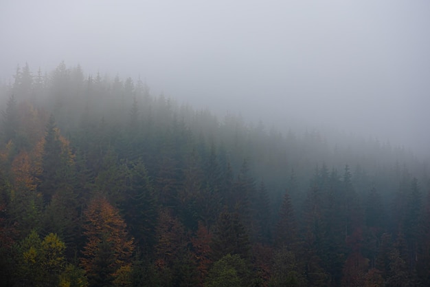 思念、想念、怀念、惦念如何区别？