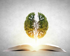 渭南市高中排名前十的学校