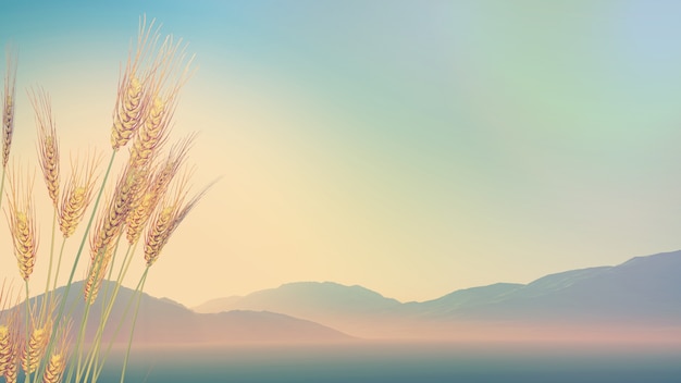 模特T台步骤及T台训练技巧