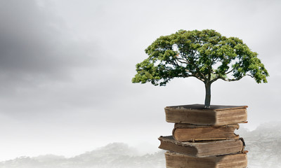 买十八层楼房到底好不好不适合住18层的属相有哪些