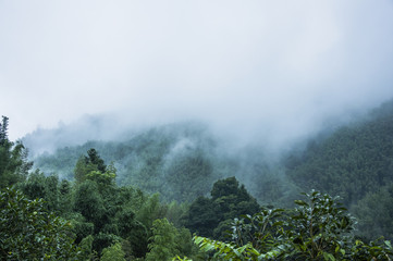 微信与连信区别吗-